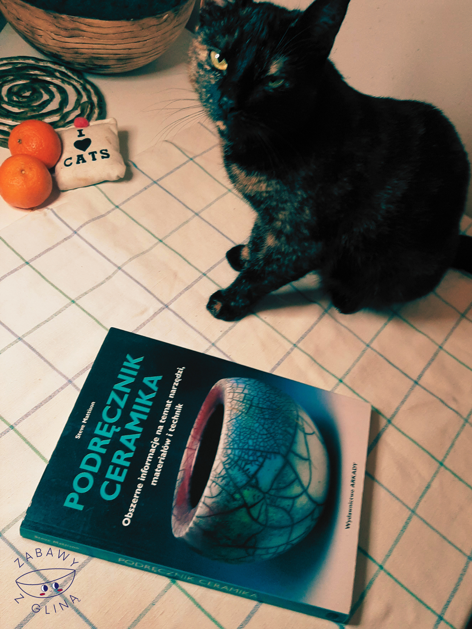 Książka podręcznik ceramika leży na stole. Obok siedzi kot.